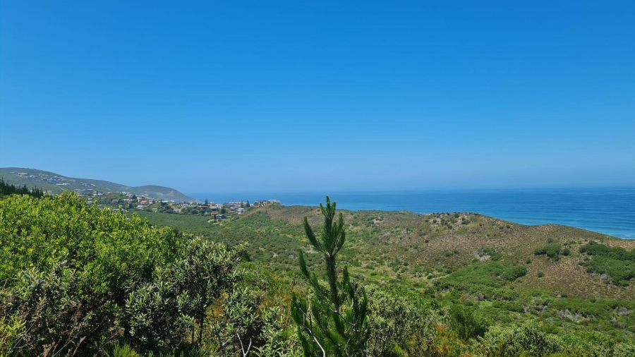 0 Bedroom Property for Sale in Brenton On Sea Western Cape